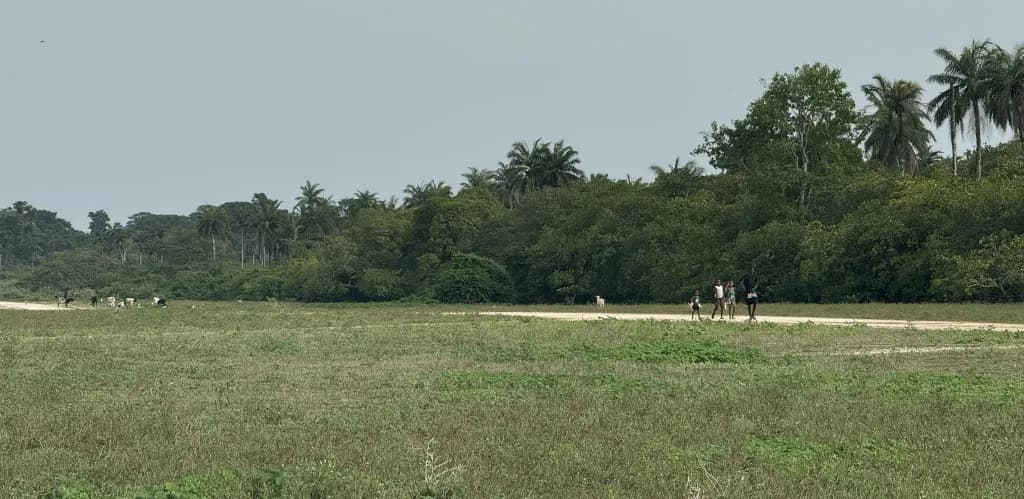 Panorama infrastruktury portu Bubaque Airport
