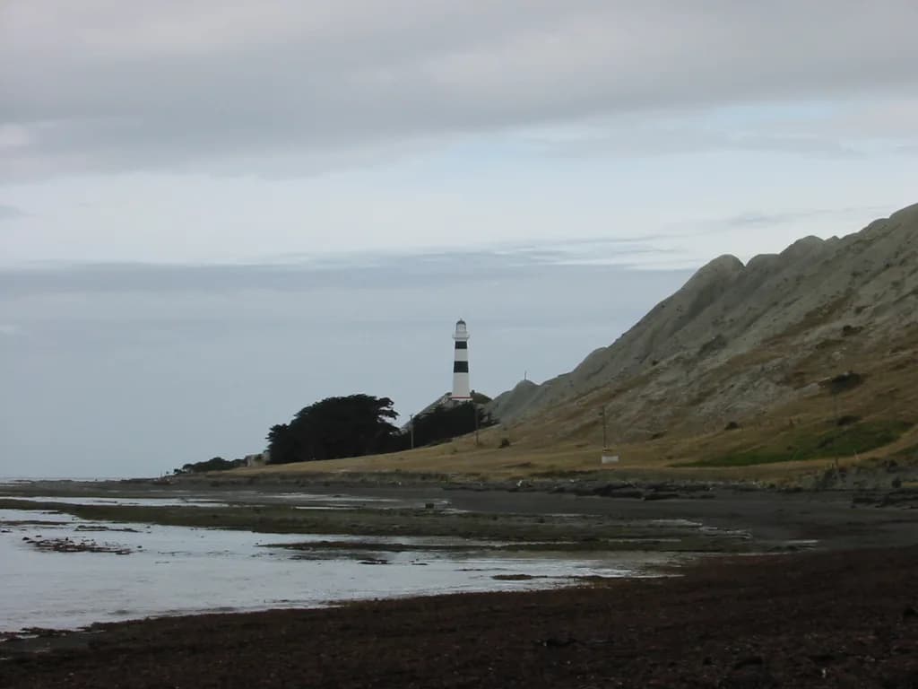 Panorama infrastruktury portu Cape Campbell airstrip